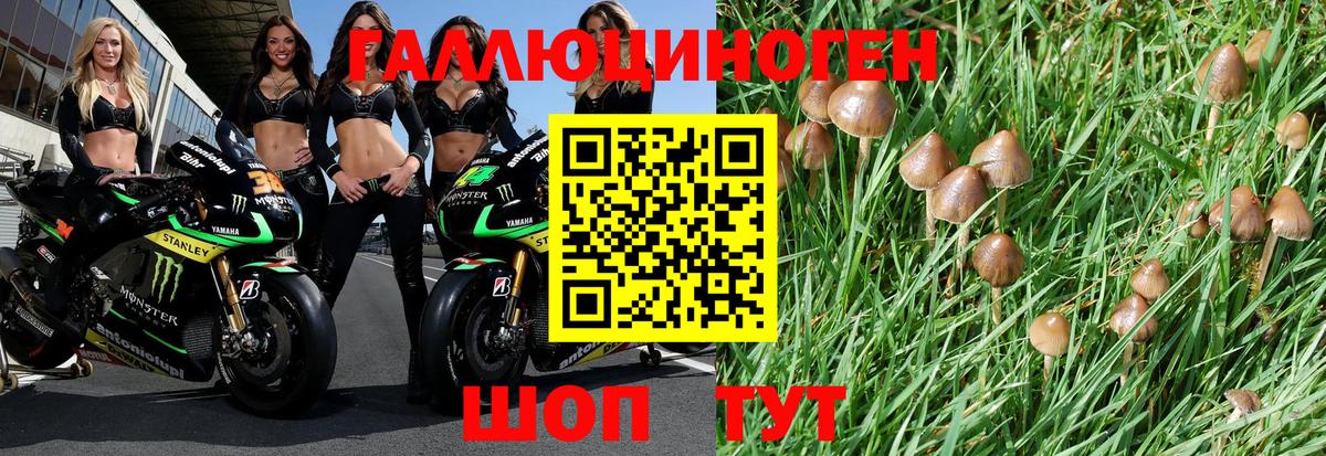 Маркс  Псилоцибиновые грибы MAGIC MUSHROOMS  Вход с VPN 